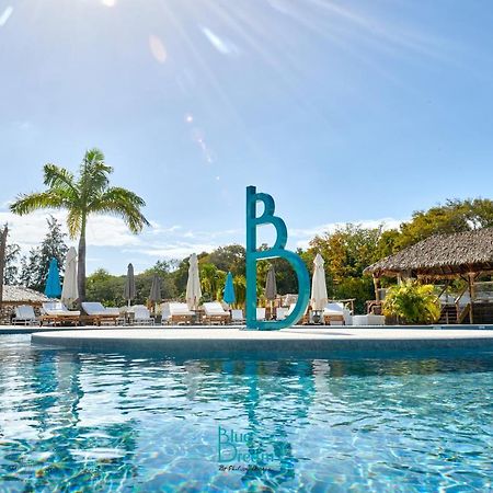 Residence Kawann Plage & Piscine - Hamaca 102 Folle Anse Dış mekan fotoğraf